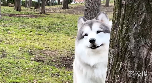 大乐透期号,专家质合分,缺阵太阳应,开云体育,开云体育官网,开云体育app,开云体育平台,KAIYUN,SPORTS,kaiyun登录入口