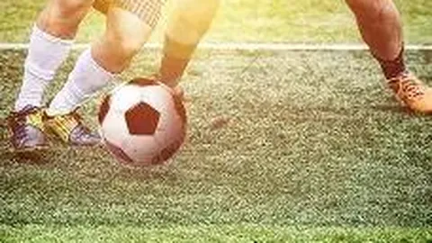 开运体育入口 资讯 094941 dwb