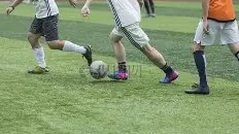 开运体育入口 资讯 095630 1tj