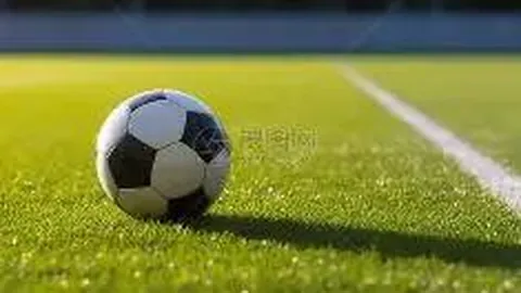 武汉体院物业管理服务项目中标公告