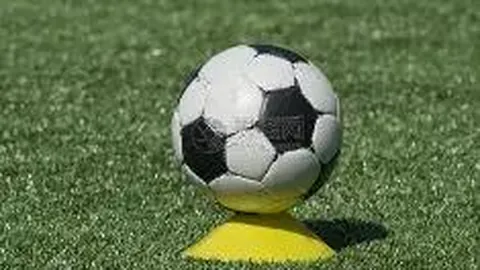 开运体育入口 产品 085037 k2w